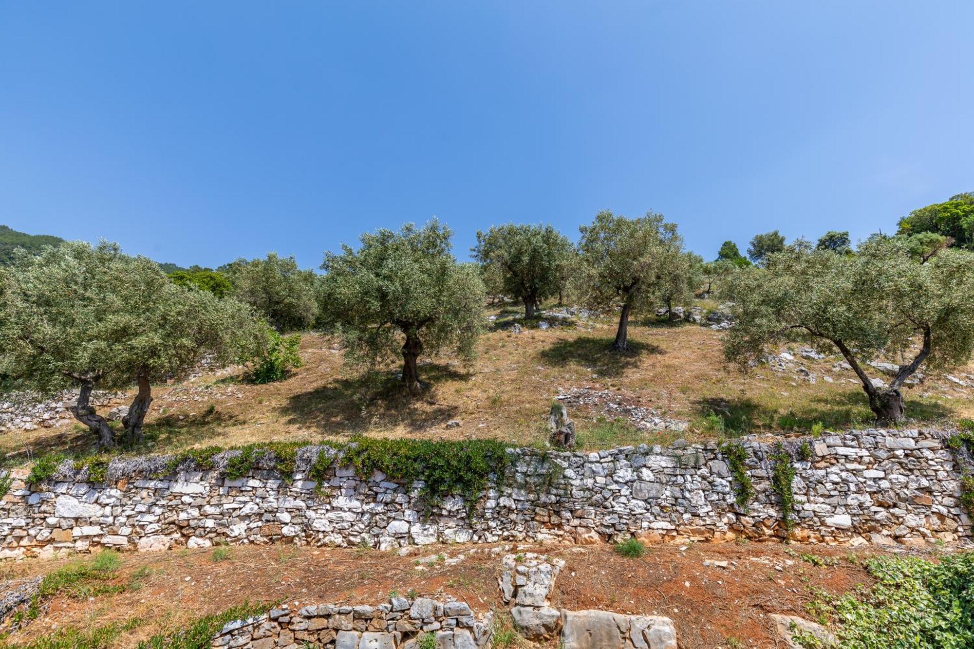 Panormos Beach Hotel Skopelos חדר תמונה